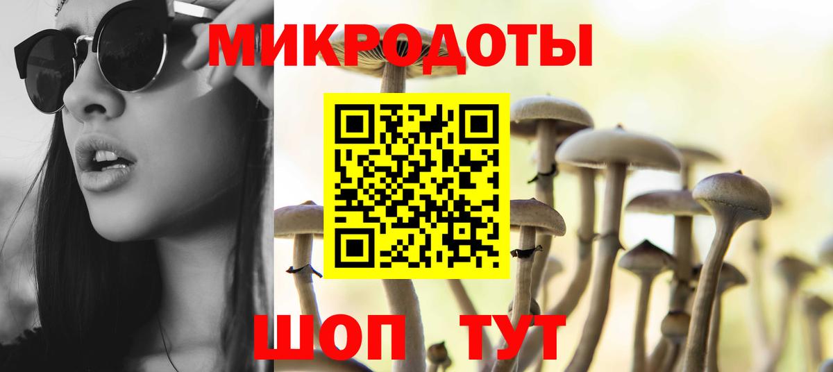 купить   Вход с VPN  Псилоцибиновые грибы прущие грибы  Волоколамск  Псилоцибиновые грибы прущие грибы 